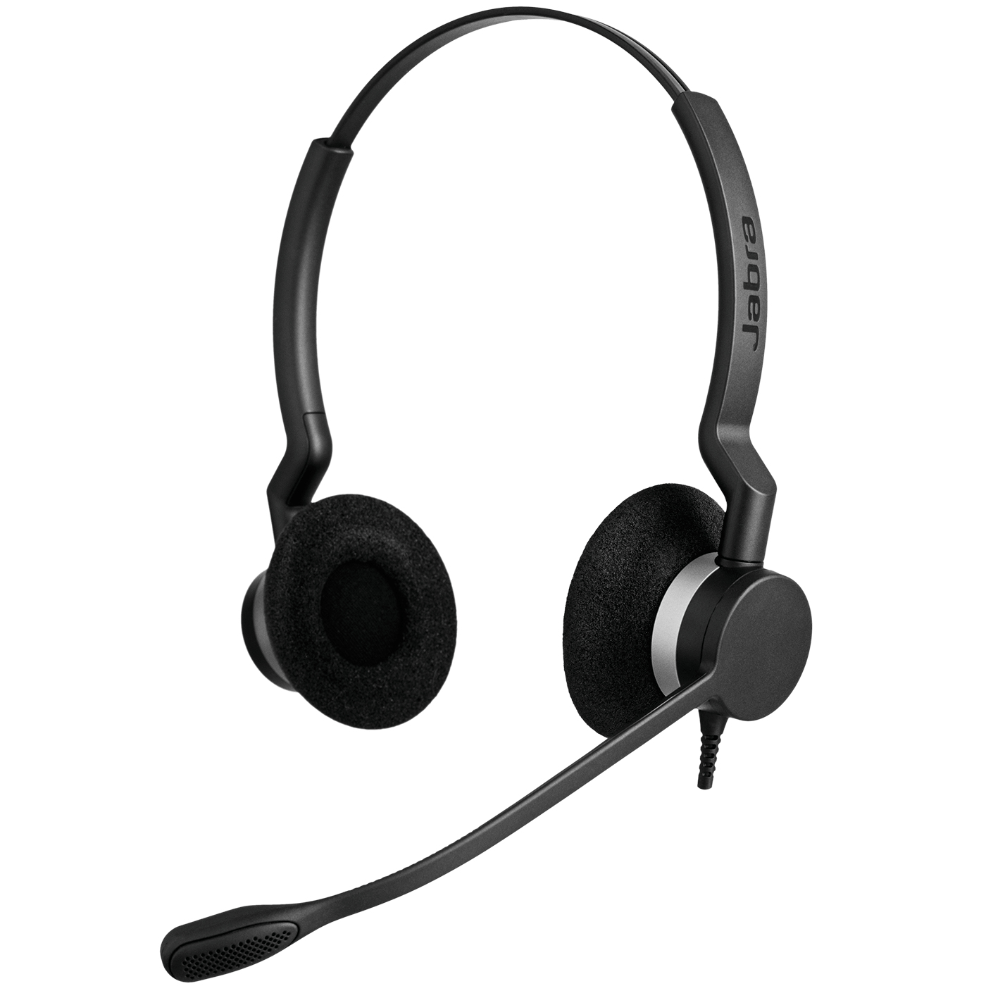 BIZ 2300