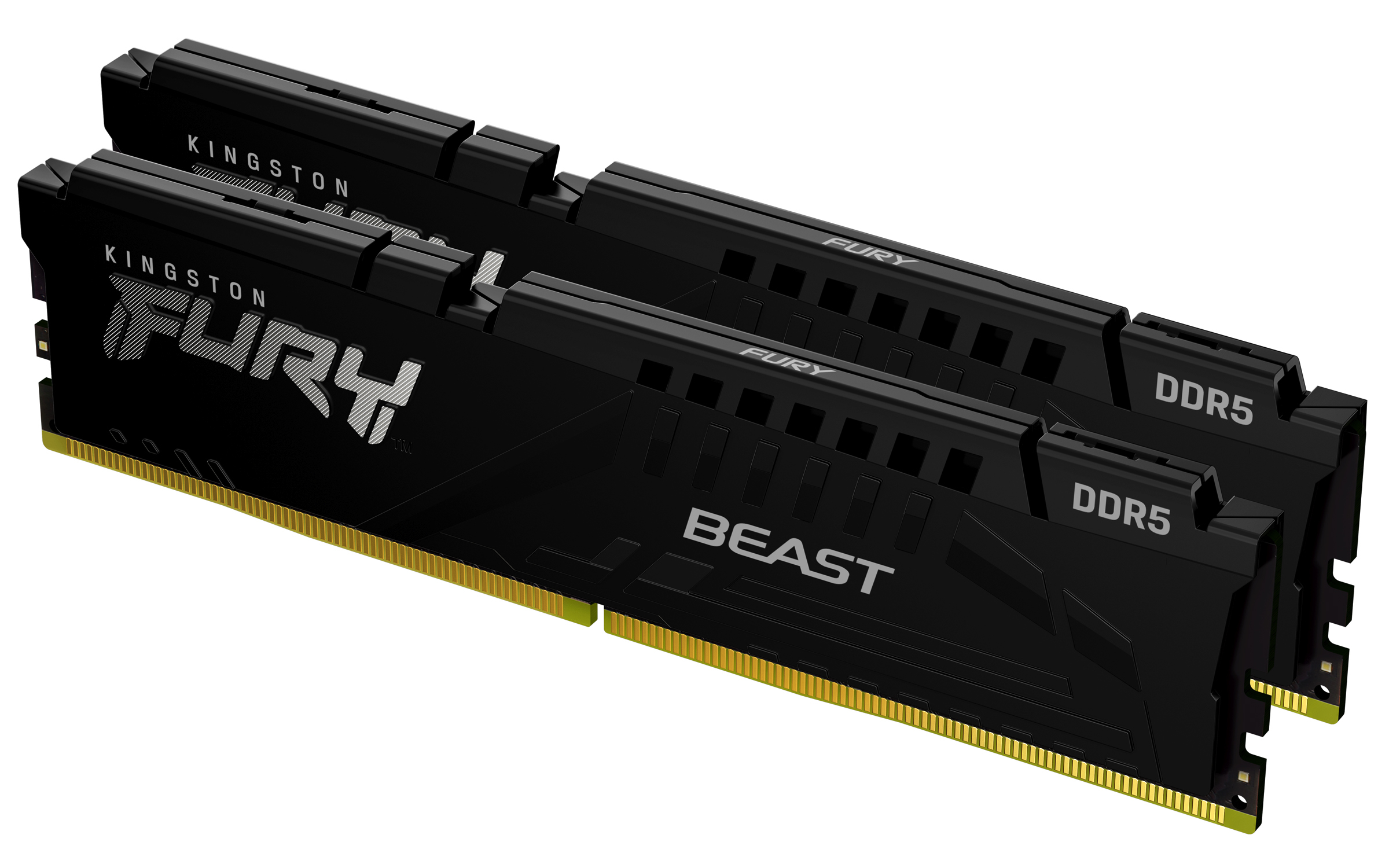 FURY Beast DDR5
