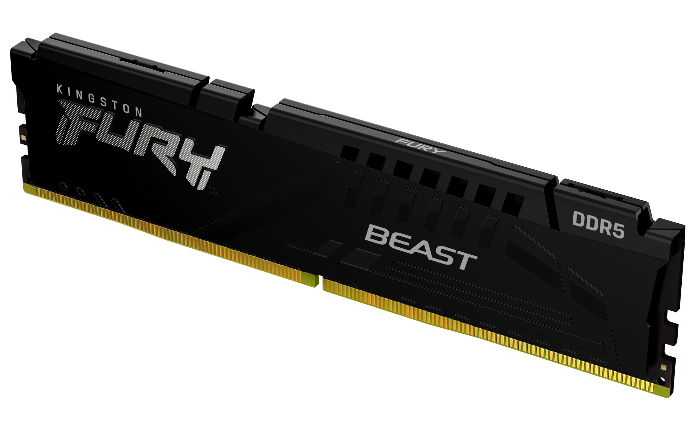 FURY Beast DDR5 EXPO