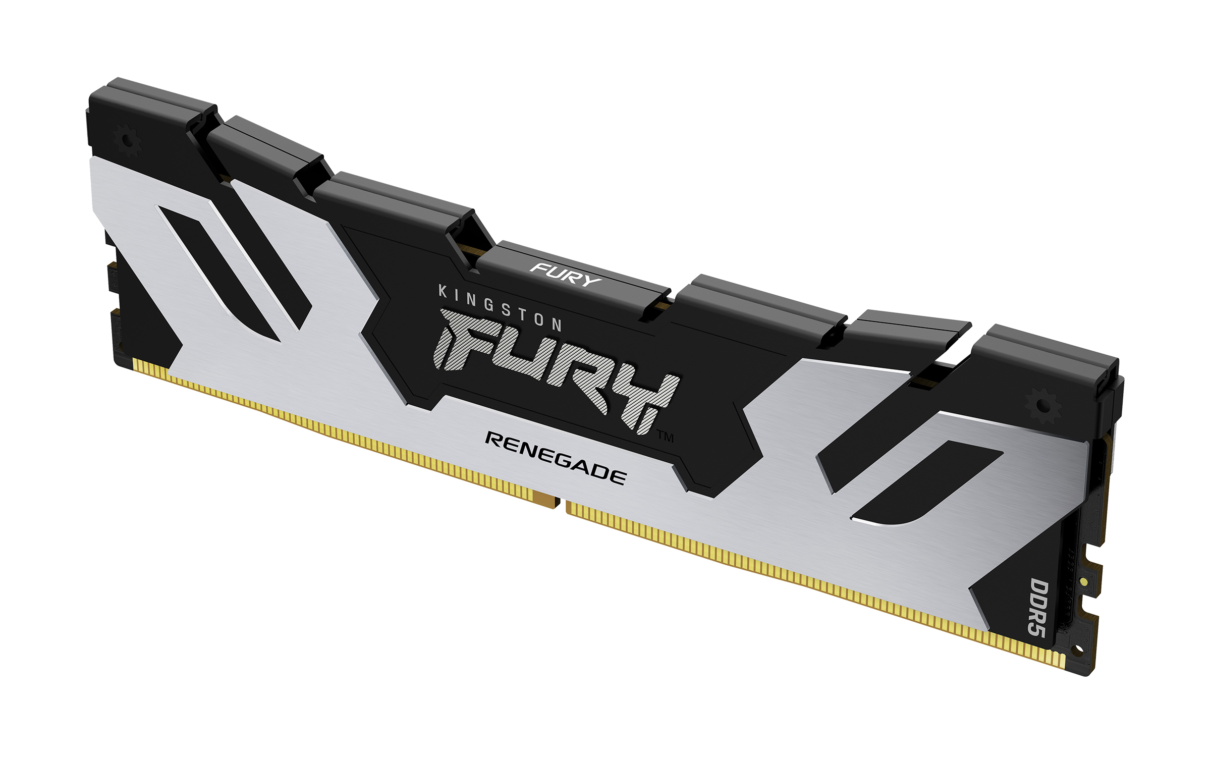 FURY Renegade DDR5